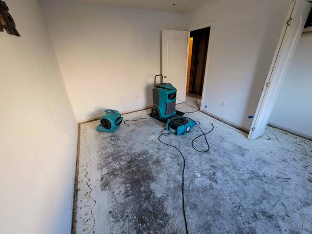 Best Mold removal after water damage  in Birchwood Lakes, PA