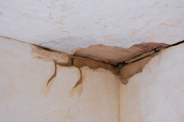 Best Mold removal after water damage  in Birchwood Lakes, PA