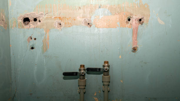 Water damage restoration mold remediation in PA