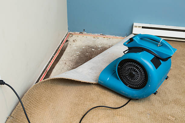 Best Professional water damage repair  in Birchwood Lakes, PA